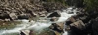 Narrows (1)