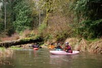 Start of S.F. Alsea