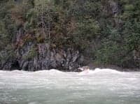 Surfing at Disappointment Creek