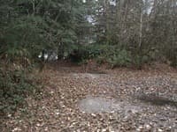 Russian Butte River Trail, before