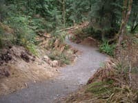 Russian Butte River Trail, after