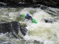 Bottom of Horserace