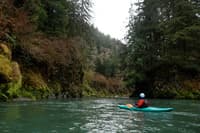 Enjoying the Wilson River 