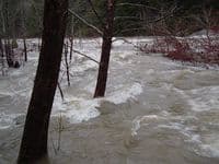 Bottom of put-in steps at Lilly Bridge at 26,000 cfs