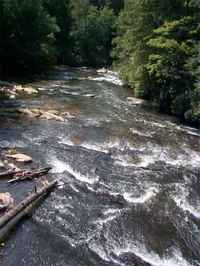 Margret Drifts below the bridge