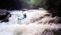 (RM) Island Rapid - top