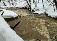 Rooster Tail
