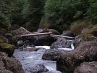 Big Creek Gorge perspective