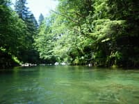 Above the first rapid