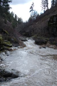 Top part of the Little Potlatch