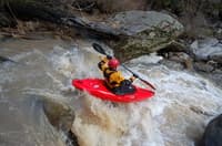 Early Drop on the Little Potlatch