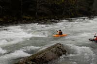 Silache Rapid