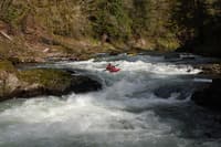 First Rapid
