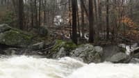 Waterfall trib from Nowhere