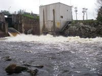 Dam where sturgeon were