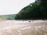 Maytag Rapid