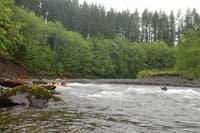 Rapid on the Sol Duc