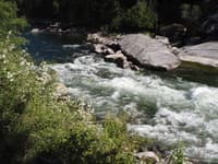 North Fork Rapid
