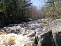 The dells
