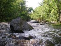 majority of the gorge