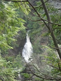 The view of One Whistle Falls from the scout