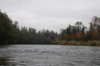 Lower Cowlitz River