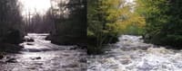 upper dells comparison