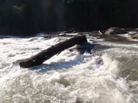 Log jam at EOTW