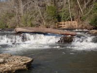 Log jam at EOTW