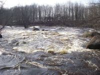 3 row falls lower