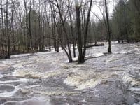 rapid after 1st drops