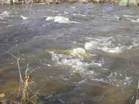 visual gauge at hwy 97 putin