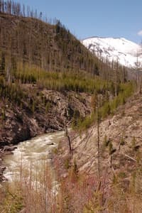 NF Blackfoot Near the Takeout