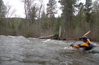 Rattlesnake Creek