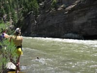 Aragon Rapid