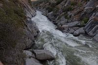 Lower Falls Rapid