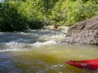First rapid