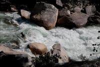 Close up of a Rapid