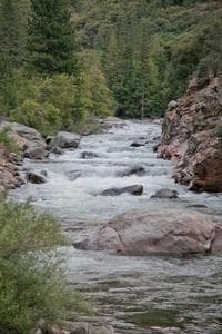 Boogy Water 2