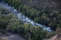 Wave Rapid at low flow