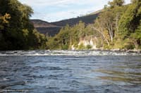 Spring Rapid