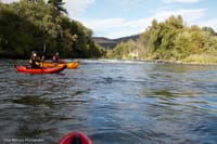 Spring Rapid