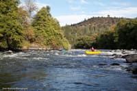 5th rapid