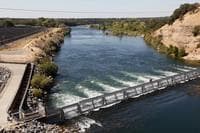 Fish Barrier 