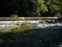 The dam