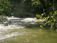 Strainer below hatchery
