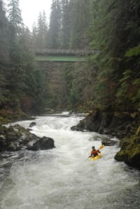 Bridge Rapid