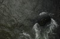 Gauge Rock