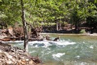 Log Jam