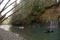 Springs on the Hamma Hamma